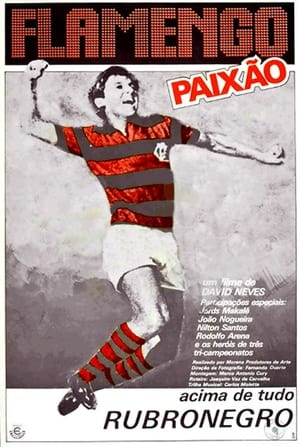 Flamengo Paixão