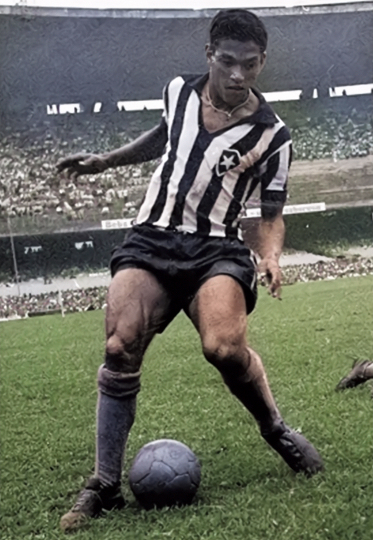 Garrincha - O Gênio dos Dribles