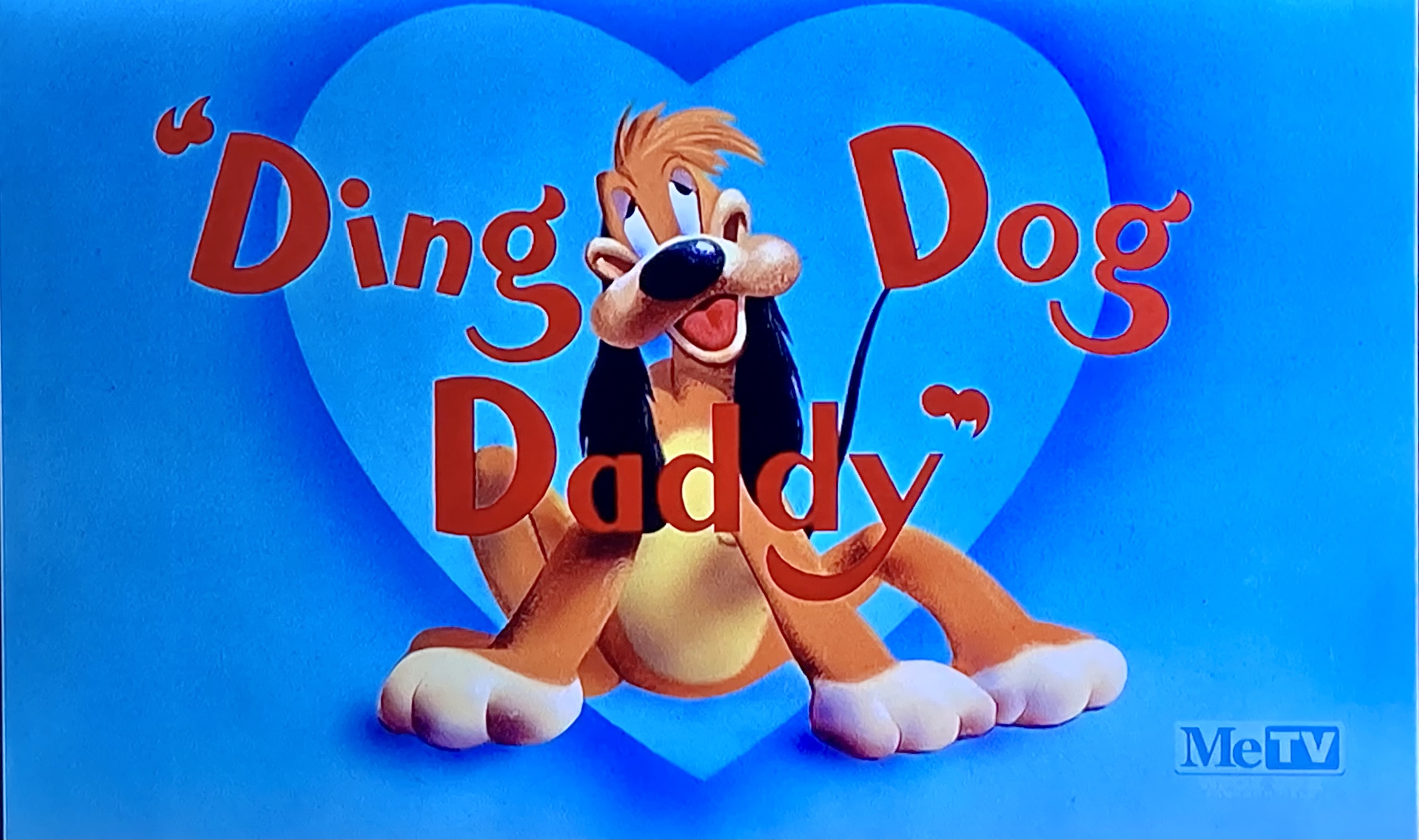 Ding Dog Daddy