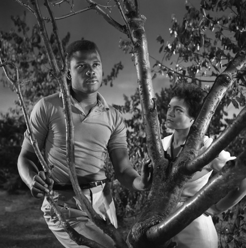 The Mark of the Hawk